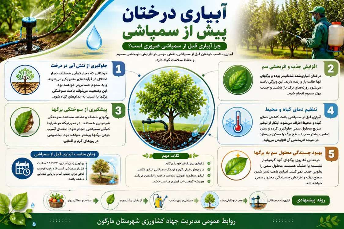 ابیاری درختان پیش از سمپاشی 